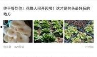 包头最新爆料,揭秘城市变革背后的故事